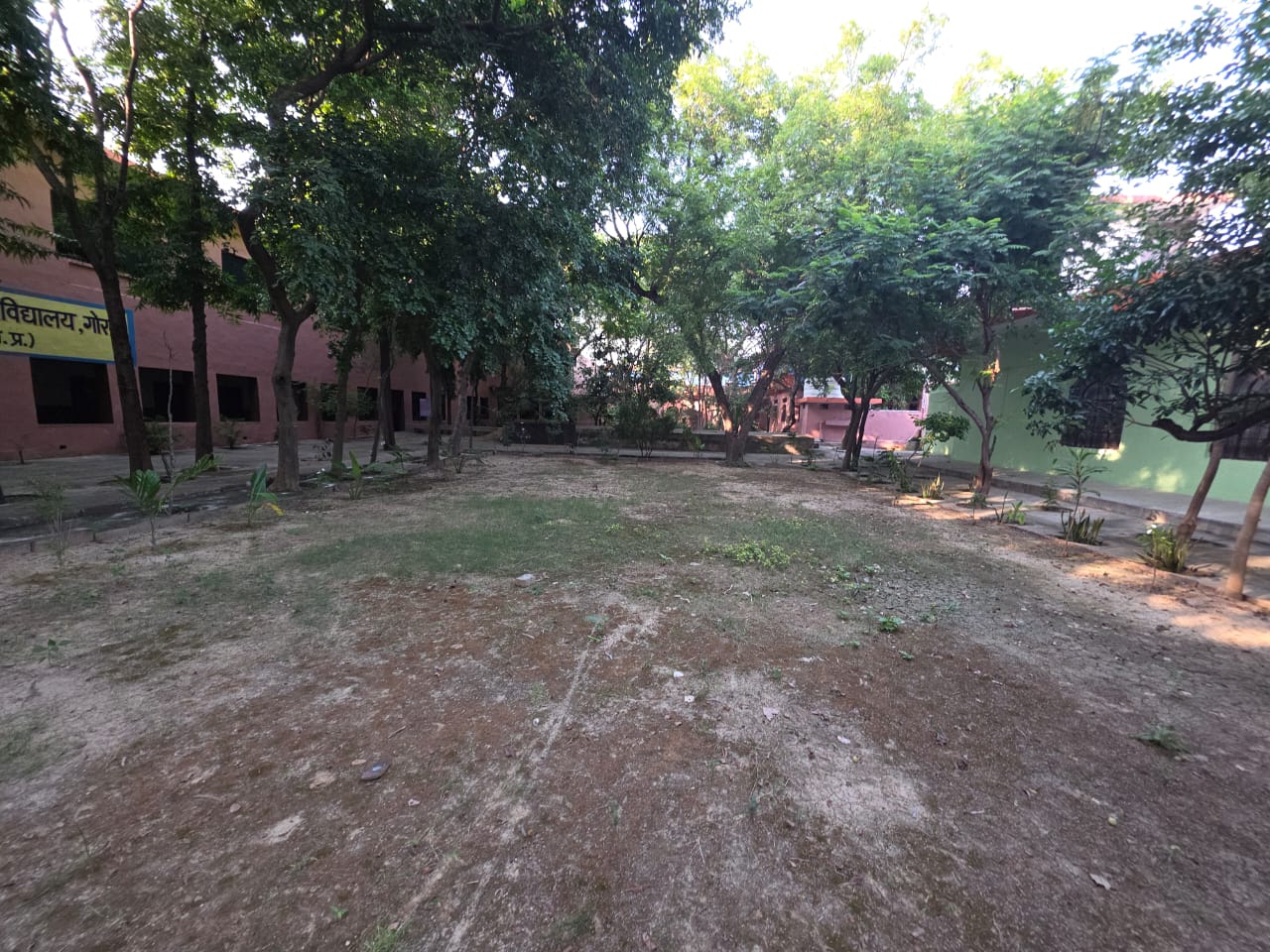 Courtyard surrounded by trees and campus buildings