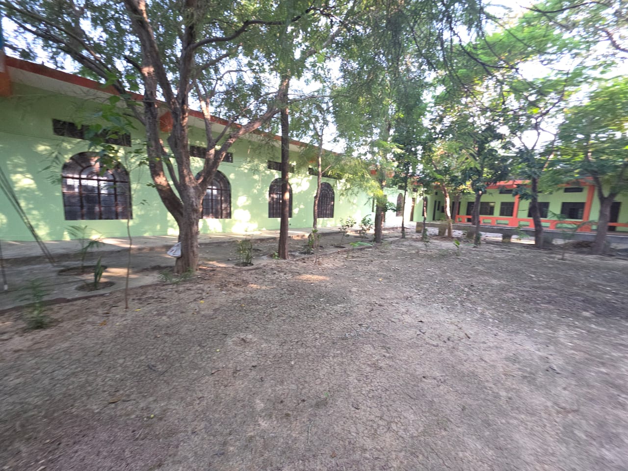 Green building shaded by mature trees